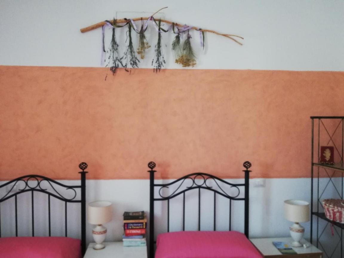 Insula -- Telti Hotell Exteriör bild